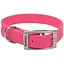 Нашийник для собак Coastal Fashion Waterproof Dog Collar 1,9 х43 см - мініатюра 1