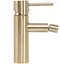 Змішувач для біде Rea Tess brushed gold REA-B7010 Золотий - мініатюра 2