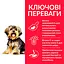 Сухой корм Hill's SP Adult Sensitive Stomach&Skin Small&MIni при чувствительном желудке и коже для взрослых малышей - миниатюра 3