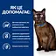 Сухий корм Hill's Prescription Diet m/d для котів при цукровому діабеті з куркою 1.5 кг - мініатюра 5