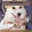 Подрібнювач нігтів для собак зі світлодіодною підсвіткою Електрична перезаряджувана шліфувальна машина для нігтів - мініатюра 5