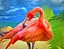 Алмазна мозаїка на підрамнику Фламінго 40×50 см 70847_BGLE - мініатюра 1