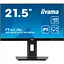 Монитор 21.5" Iiyama XUB2293HSU-B7 FHD IPS 100Hz (XUB2293HSU-B7) - миниатюра 1