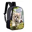 Рюкзак дитячий з котом 34х27 см, ранець міський з котиком для хлопчика, дівчинки (00483) - мініатюра 1