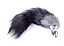 Анальна пробка Boss Fox TAIL Black XXL 9 см (чорний) - мініатюра 6
