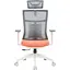Офісне крісло OfficePro Balance OC550-W-DG-OR White/Dark Gray/Orange [148647] - мініатюра 1