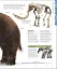 Dinosaurs and Prehistoric Life. The Definitive Visual Guide - мініатюра 14