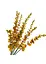 Гілка штучна "Евкаліпт", золота 62 см Elisey 8408-028   - мініатюра 2