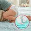 Подгузники-трусики Pampers Premium Care Pants Размер 6 (13-19 кг) 96 шт. - миниатюра 4