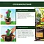 Торфосмесь COMPO CACTEA® для кактусов 5 л - миниатюра 7