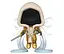 Фигурка Funko Pop Фанко Поп Диабло Тираэль Diablo Tyrael Exclusive 10 см Game D T 600 - миниатюра 2