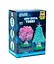 Набір для вирощування кристалів 6688-4, 3 основи для кристалів, ємності, в коробці (6982755050094) - мініатюра 1