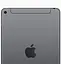 Apple iPad mini 5 Wi-Fi + Cellular 64GB Space Gray (MUXF2, MUX52) - мініатюра 3