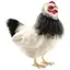 М'яка іграшка Hansa Французька Курка 30 см (5620) - мініатюра 1