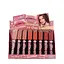 Набір помад для губ рідких матових Magic Your Life 5 D Beauty Dazzles Me Liquid, 24 шт. - мініатюра 1
