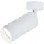 Спот Friendlylight Focus L FL2099 - миниатюра 1