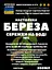 Водна настойка на сережках берези 200 мл - мініатюра 3