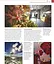Photography. A Visual Companion - миниатюра 11