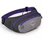 Поясная сумка Osprey Daylite Waist S21 Grey/Purple (OSP-DAYWAISAGREYDARK) - миниатюра 1