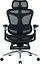 Офісне крісло Sihoo DORO C300 Pro Mesh Black with footrest (DORO-C300-PRO-M101-JT) - мініатюра 1
