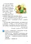 Українська мова. Післябукварний період. 1 клас - миниатюра 4