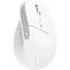 Мишка Trust Bayo+ Ergonomic Wireless/Bluetooth White (25399) - мініатюра 2