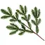 Ветвь декоративная Lefard хвойная 60 см (801-537) - миниатюра 1