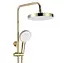 Душова система Rea Bloom gold з виливом REA-P9528, Золотий - мініатюра 6
