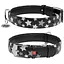 Нашийник для собак Waudog Glamour шкіряний з QR паспортом, візерунок Зірочка, світиться/світловідбиваючий, L, Ш 35 мм, Дов 46-60 см (4823089301402) - мініатюра 1