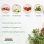 Сухой корм для кошек Morando Tradizioni с говядиной и свининой 1.5 кг - миниатюра 3