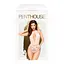 Эротическое боди с глубоким вырезом TOXIC POWDER белый Penthouse m/l - миниатюра 3