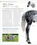 The Horse Encyclopedia (new edition) - мініатюра 5