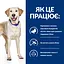 Сухий корм Hill’s Prescription Diet d/d для собак при харчовій алергії з качкою та рисом 1.5 кг - мініатюра 7
