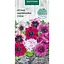 Насіння Петунія надзвичайна Насіння України суміш 10 шт. (798700) - мініатюра 1