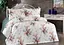 Комплект постільної білизни полуторний Belizza pbe0049634 - мініатюра 1