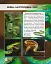 Світ навколо нас. Змії - миниатюра 3