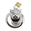 Клетка для члена Master Series Tiger King Cock Cage With Lock - миниатюра 3