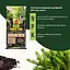 Торфосмесь для всех видов хвойных растений COMPO SANA® 40 л - миниатюра 4