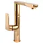 Змішувач для кухні Topaz Lexi TL-21401-H57-AU Золотий - мініатюра 1