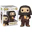 Фігурка Funko Pop Гаррі Поттер Хагрід Harry Potter Hagrid 15 см IT P 1437 - мініатюра 1