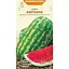 Насіння кавуна Насіння України Кароліна 1 г (576200) - мініатюра 1