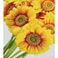 Алмазна мозаїка Сонячні квіти Strateg HEG88145 30х40 см - мініатюра 1