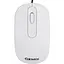 Миша Gemix GM145 білий Optical USB 800 dpi (GM145WH) - мініатюра 1