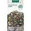 Насіння Гвоздика Насіння України Китайська К'янті 0.1 г (779100) - мініатюра 1