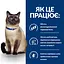 Сухий корм Hill's Prescription Diet z/d для котів при харчовій алергії, 3 кг - мініатюра 4