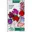 Насіння Духмяний горошок Насіння України (суміш) 1 г (783000) - мініатюра 1