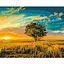Картина по номерам Золотой закат Brushme 40x50 см разноцветная 000276749 - миниатюра 1