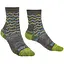Носки Bridgedale Hike LW Endurance Ankle Wmn Pattern Brown/Lime S (1053-710097.120.S) - миниатюра 1
