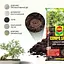 Торфосмесь для бонсаев COMPO SANA® 5 л - миниатюра 10