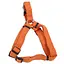 Coastal New Earth Soy Dog Harness костал соевая экошлея для собак L 2,5 х 66-96,5 cм - миниатюра 1